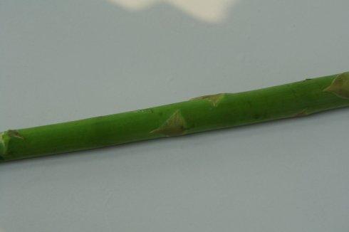 ����«�������