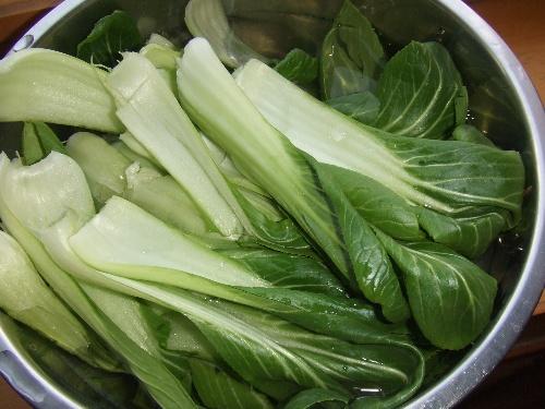 ����Ͳ˳���˿������