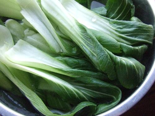 ����Ͳ˳���˿������