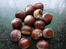 ���������Źǵ�����