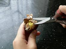 ���������Źǵ�����