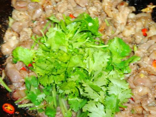 ��ζ�忾���������