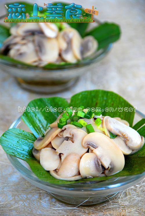 �����Ģ������