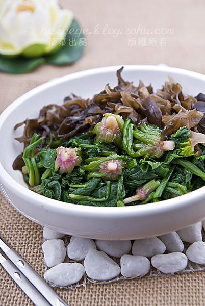 �ϴ׺�ľ�����˵�����