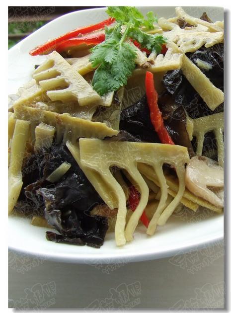 �ݹ���ľ������Ƭ������