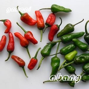 �������������