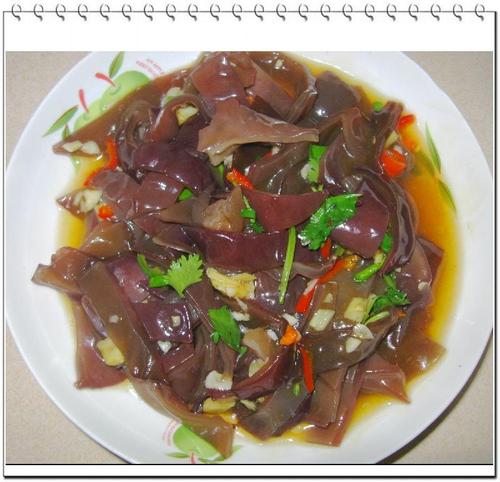 ����ľ��������