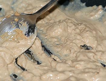 ���ض����ƻ���������