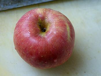 ���ض����ƻ���������