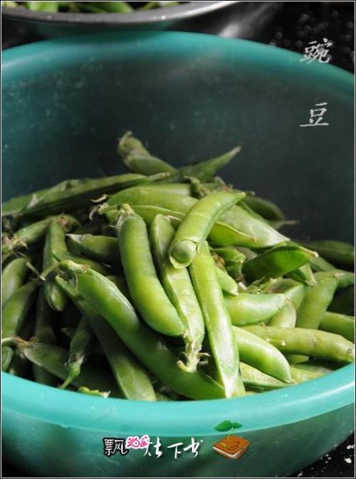 �㶹��ɫ����������