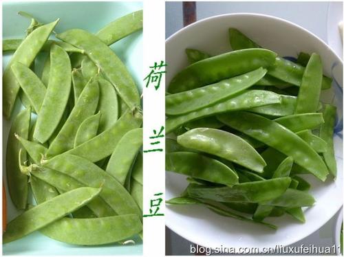 �㶹��ɫ����������