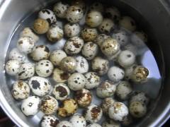 ����±�����ְ��񡢲��ܷ�������