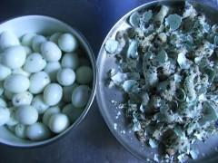 ����±�����ְ��񡢲��ܷ�������