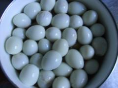 ����±�����ְ��񡢲��ܷ�������