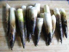 ����±�����ְ��񡢲��ܷ�������