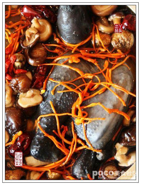 �����𼦵�����