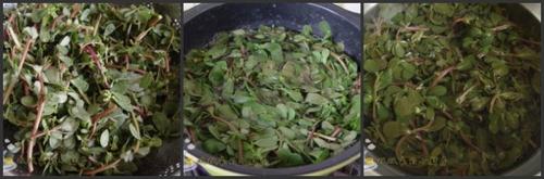 凉拌马齿笕的做法