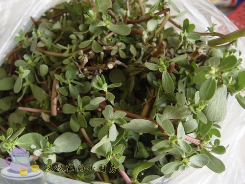 凉拌马齿笕的做法