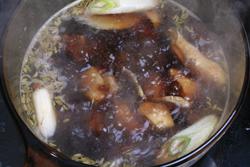 �ܲ���Ѽ�������