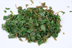 ������̯����������