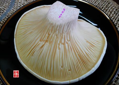 鸡汁鲍鱼菇的做法