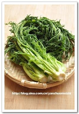 ѩ��ޮ��ĩ�����������