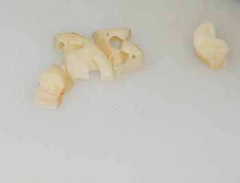 ̫�Ӳ�ţ�������׵�����