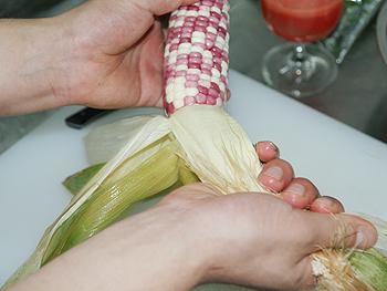 ̫�Ӳ�ţ�������׵�����