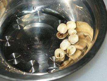 ̫�Ӳ�ţ�������׵�����