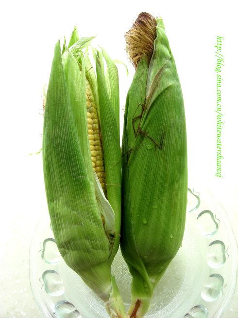 ���װ��ҹ�����������