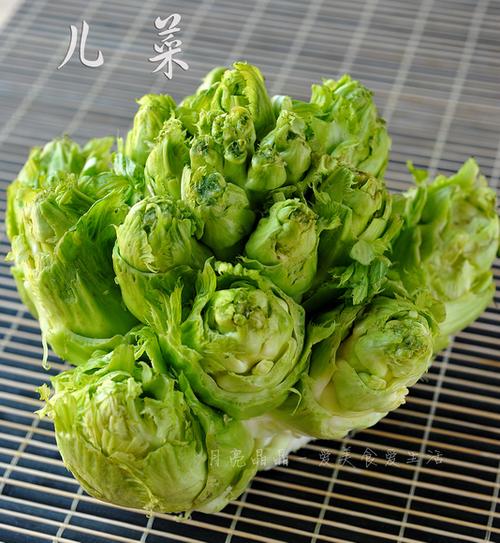 ���˽����廨�������