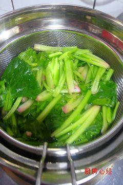 ϺƤ��˿����ͷ������