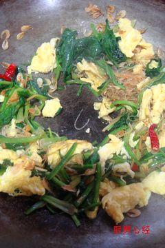 ϺƤ��˿����ͷ������