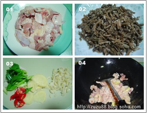 ���ϸɶ��ǳ���������