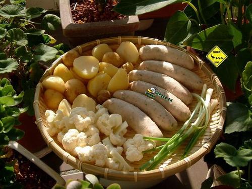 ���㳦������