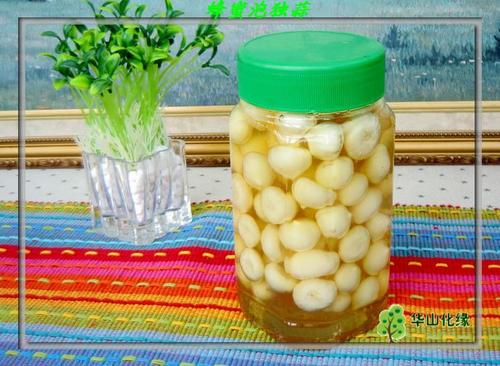 �����ݶ��������