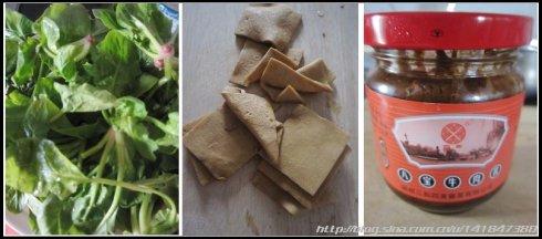 ţ�⽴�貤�˵�����