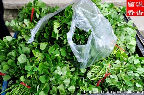 上汤草子的做法