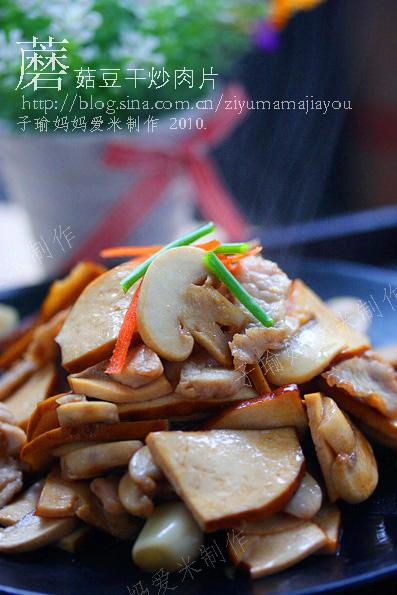 ������Ģ������Ƭ������