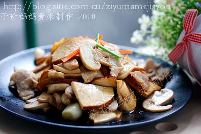 ������Ģ������Ƭ������