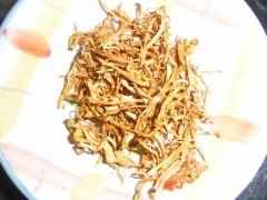 ��צɽҩ��ݻ���������