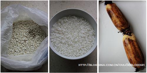 ��֬Ŵ��ź������