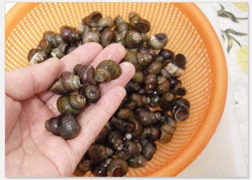 ˱ָ������˿������