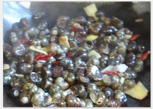 ˱ָ������˿������