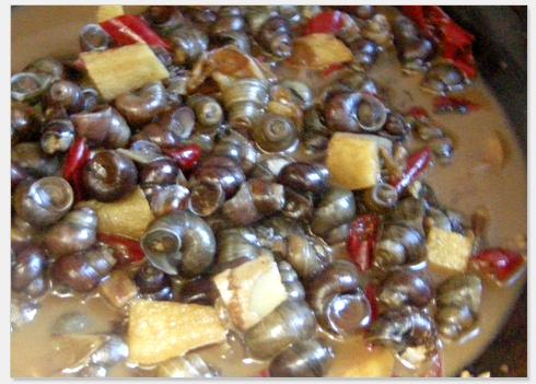 ˱ָ������˿������