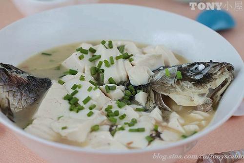 ǧ����������������