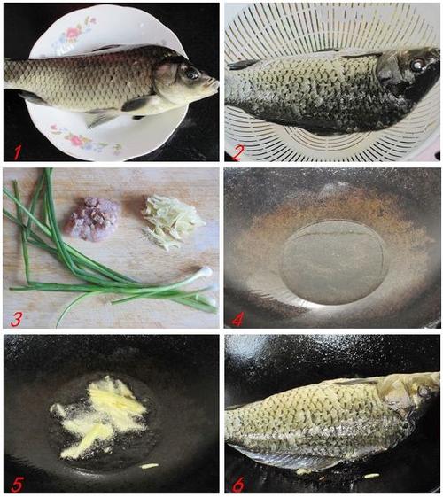 ǧ����������������