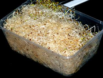 �ͷ���ޣѿ�Ϲ�ɳ��������