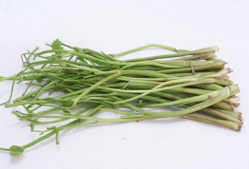 ��������Ұ�۲˵�����