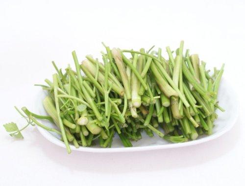 ��������Ұ�۲˵�����